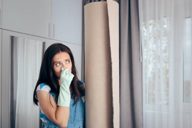 Mold Remediation for Rental Properties